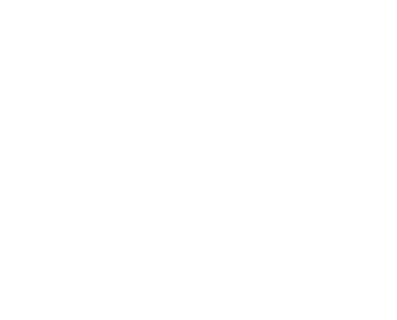 mL BASE