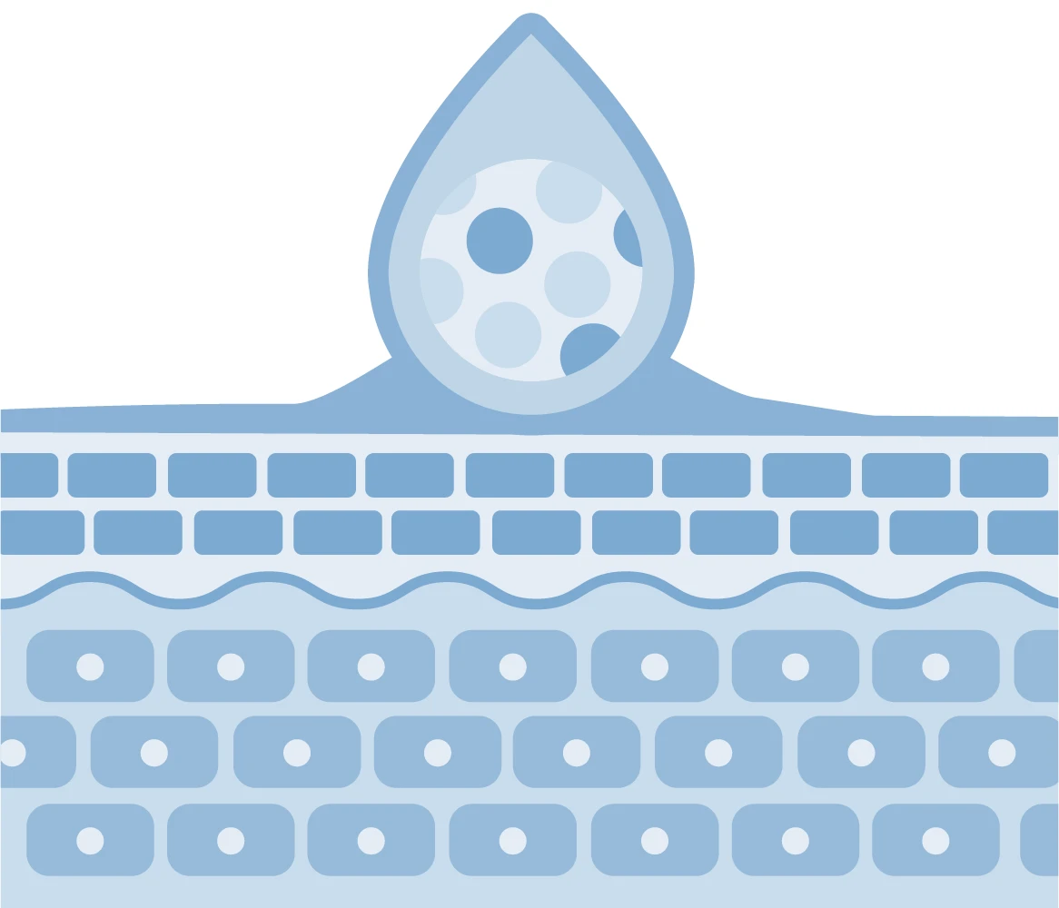 特徴3のイメージ