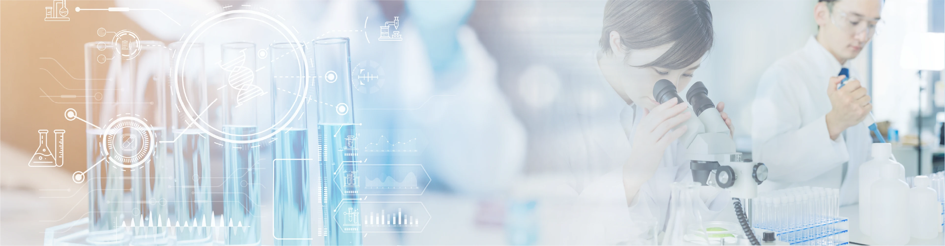 研究開発イメージ